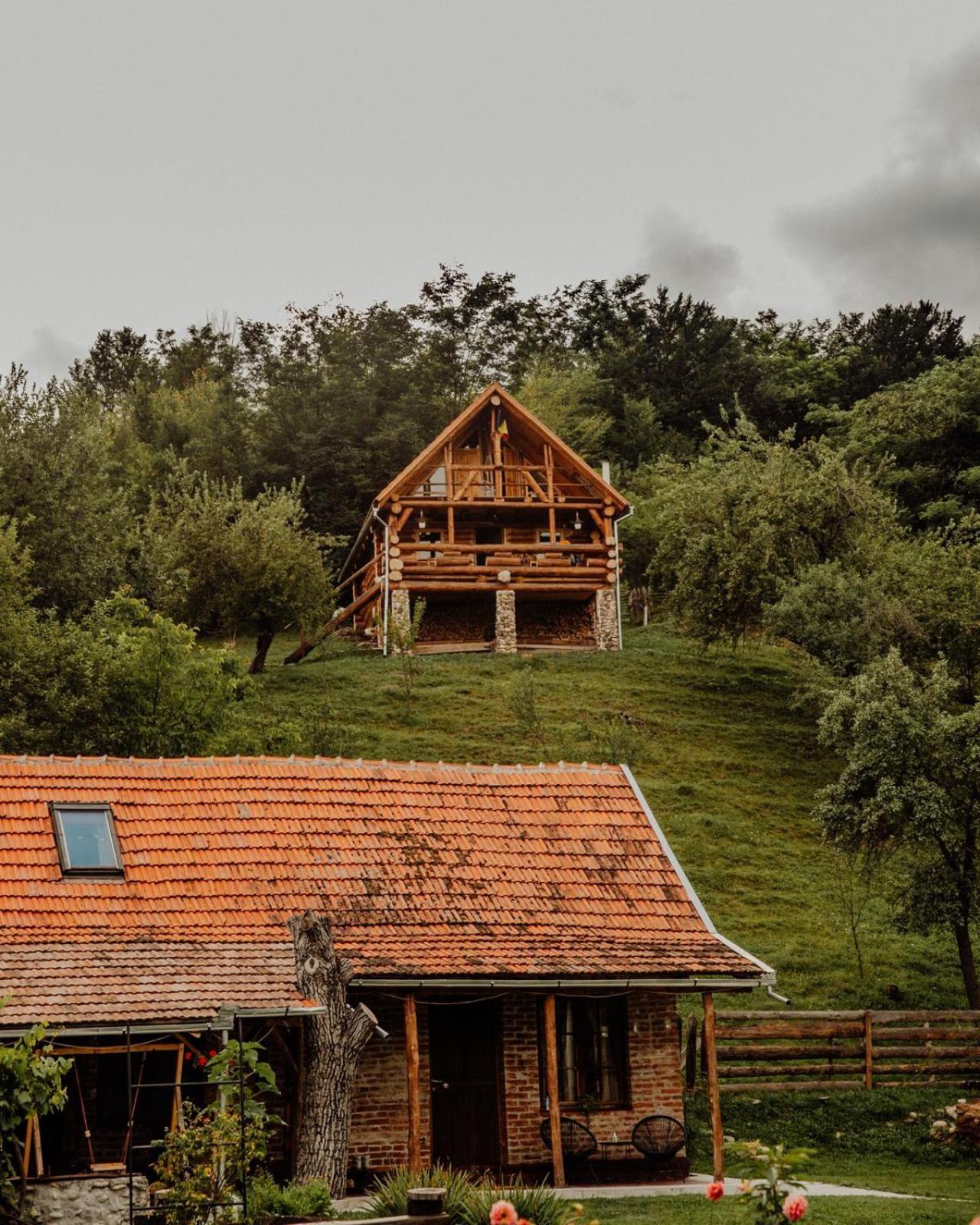 Heaven Treehouse - Adult Only Resort, Self Check In Pesteana Exterior foto