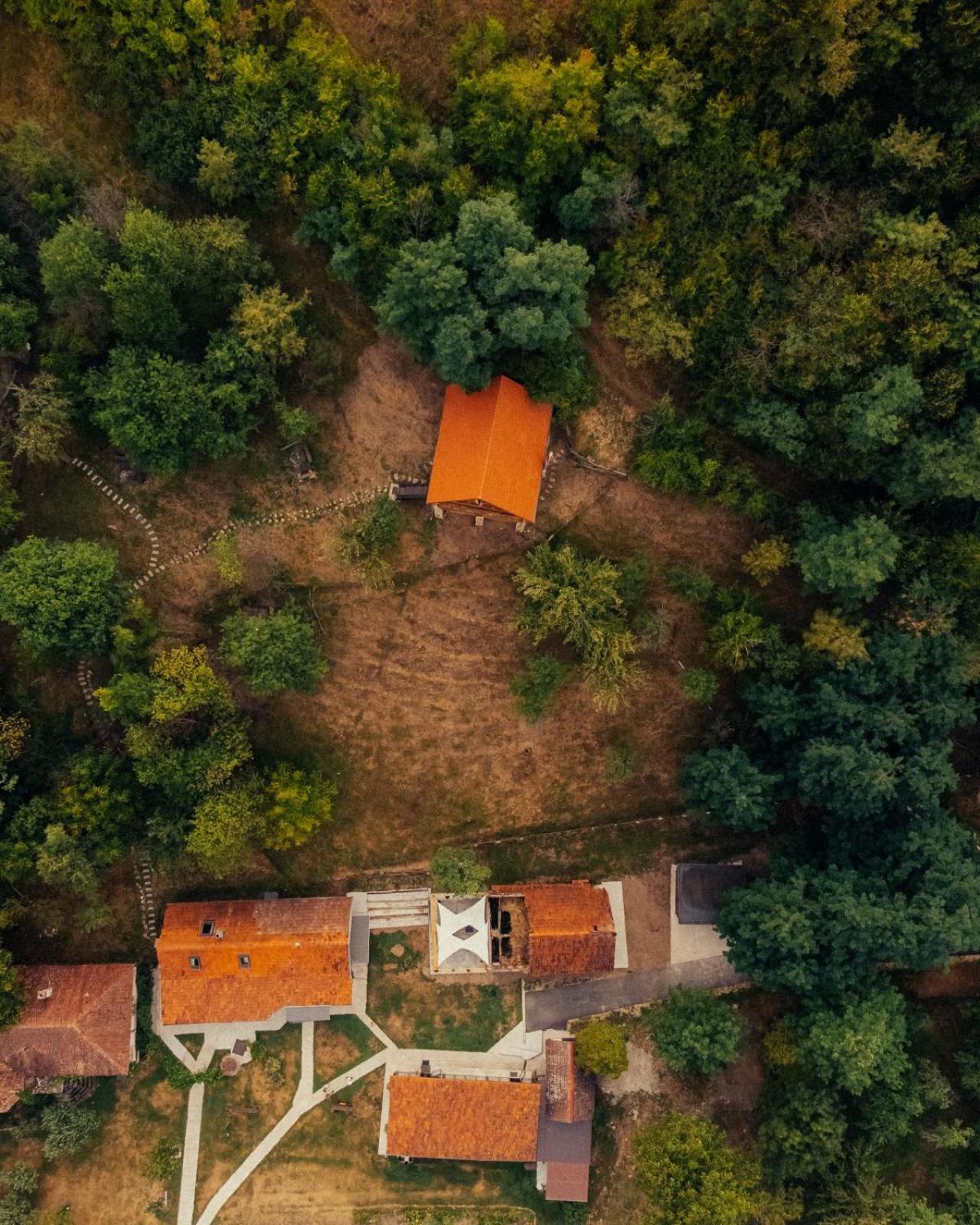 Heaven Treehouse - Adult Only Resort, Self Check In Pesteana Exterior foto